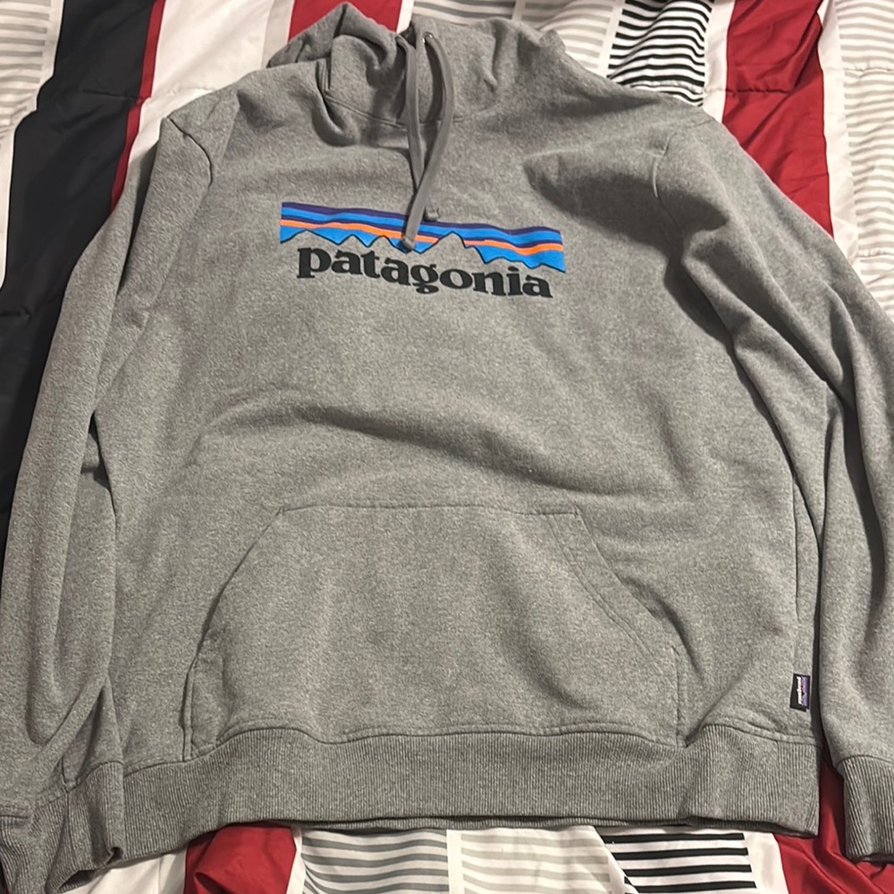 Patagonia Gray Men's Hoodie